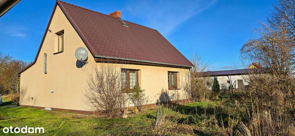 Dom w otoczeniu przyrody, Borki- działka 8497 m2-15