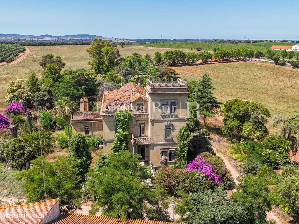 Solar Histórico com Vinha e Potencial Turístico - Grande imagem: 5/60