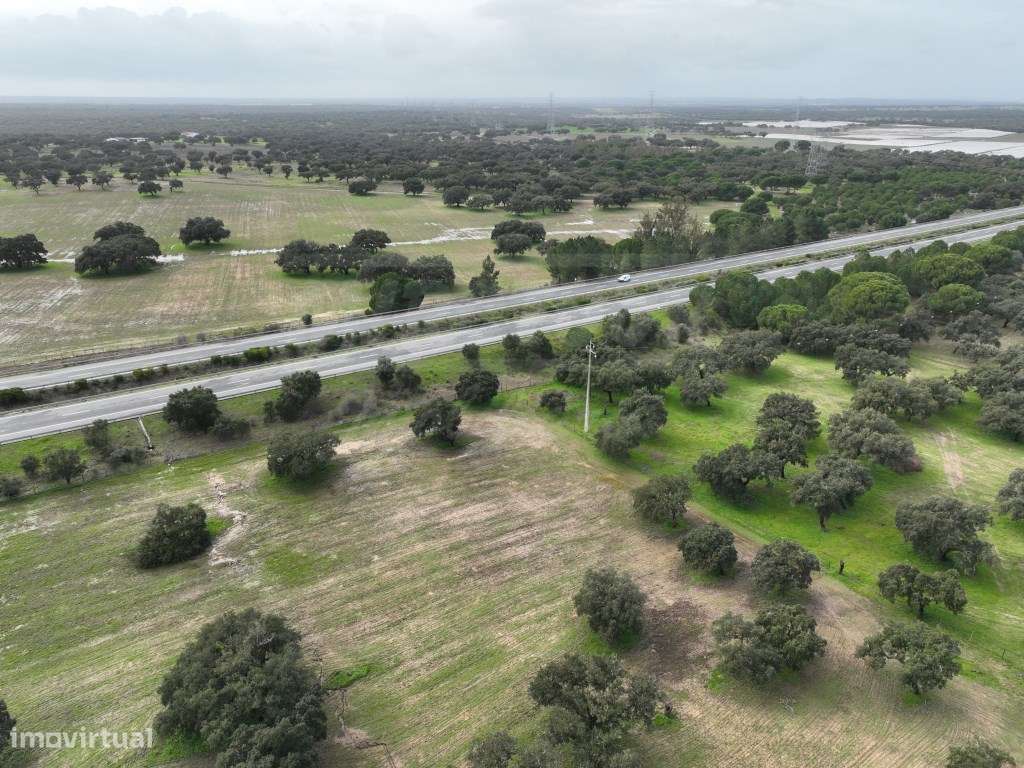 Propriedade Rústica com 11 Hectares junto a Canhestros-27