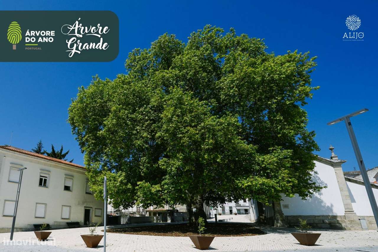 Moradia com dois Pisos-19