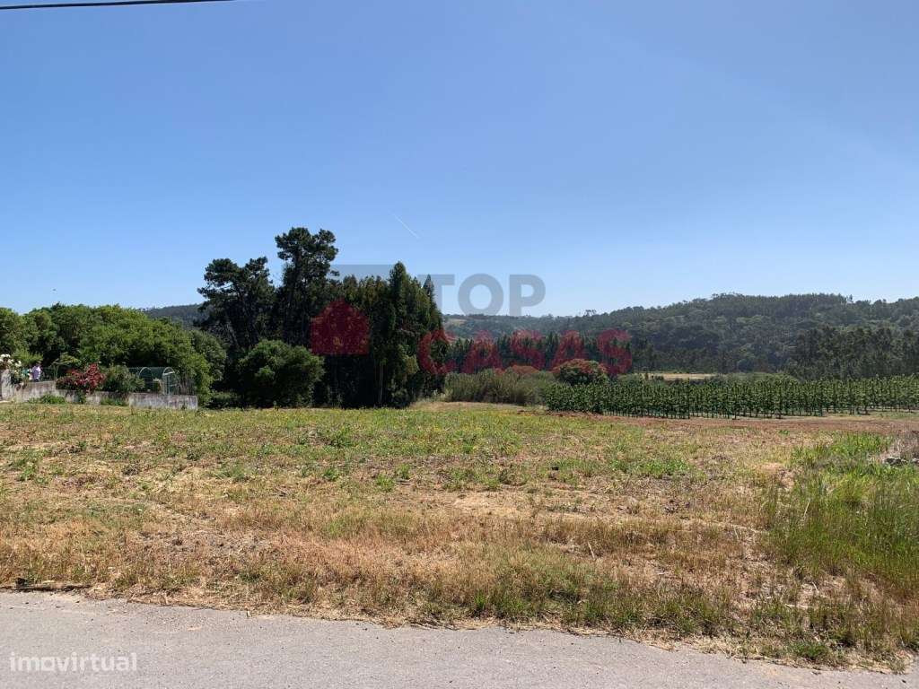 Terreno situado em Salir de Matos. - Grande imagem: 5/13