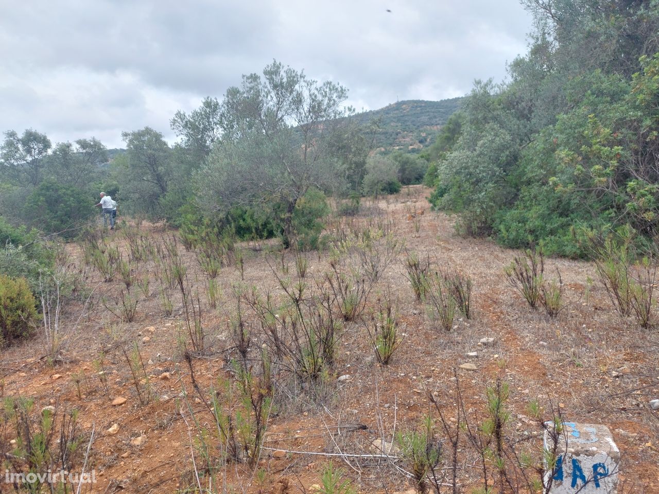 Lote de Terreno Rústico com 14.620m2