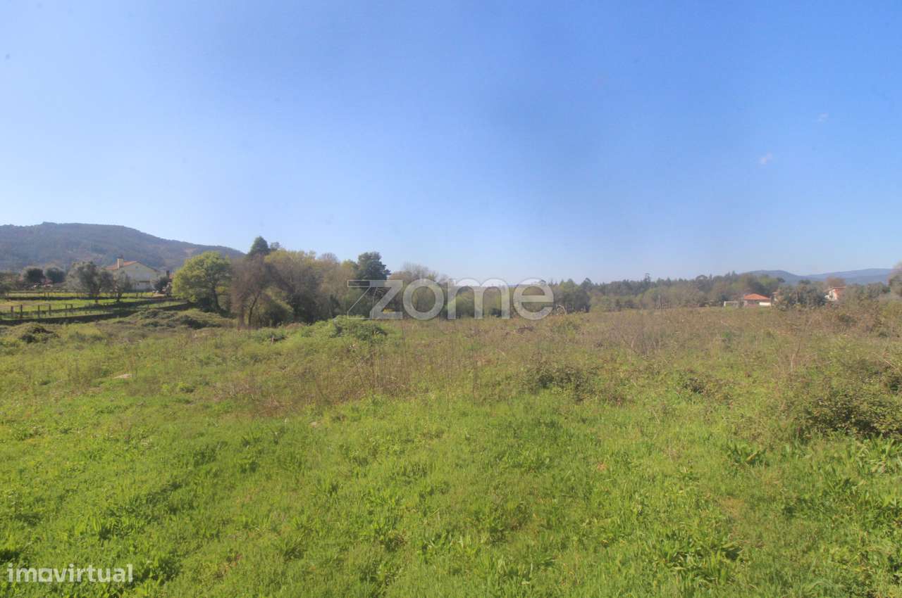 Terreno Industrial - Grande imagem: 1/16