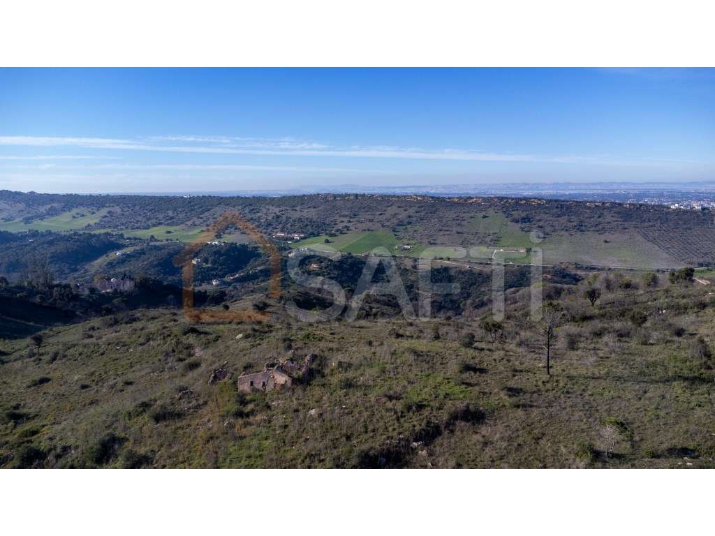 Terreno misto em Palmela de 40ha - Grande imagem: 2/9