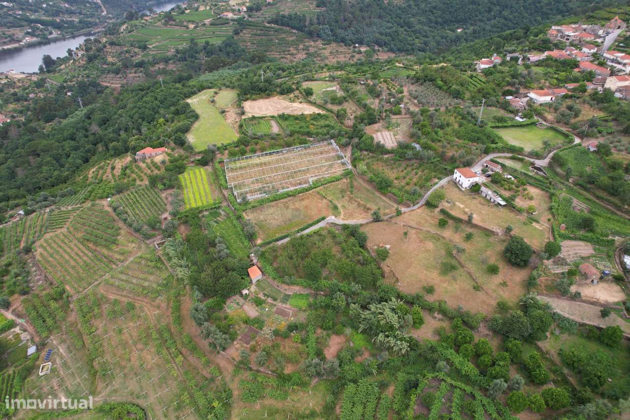 Quinta em Miomães, Resende | Um refúgio rural com cerca de 4 hectares-13