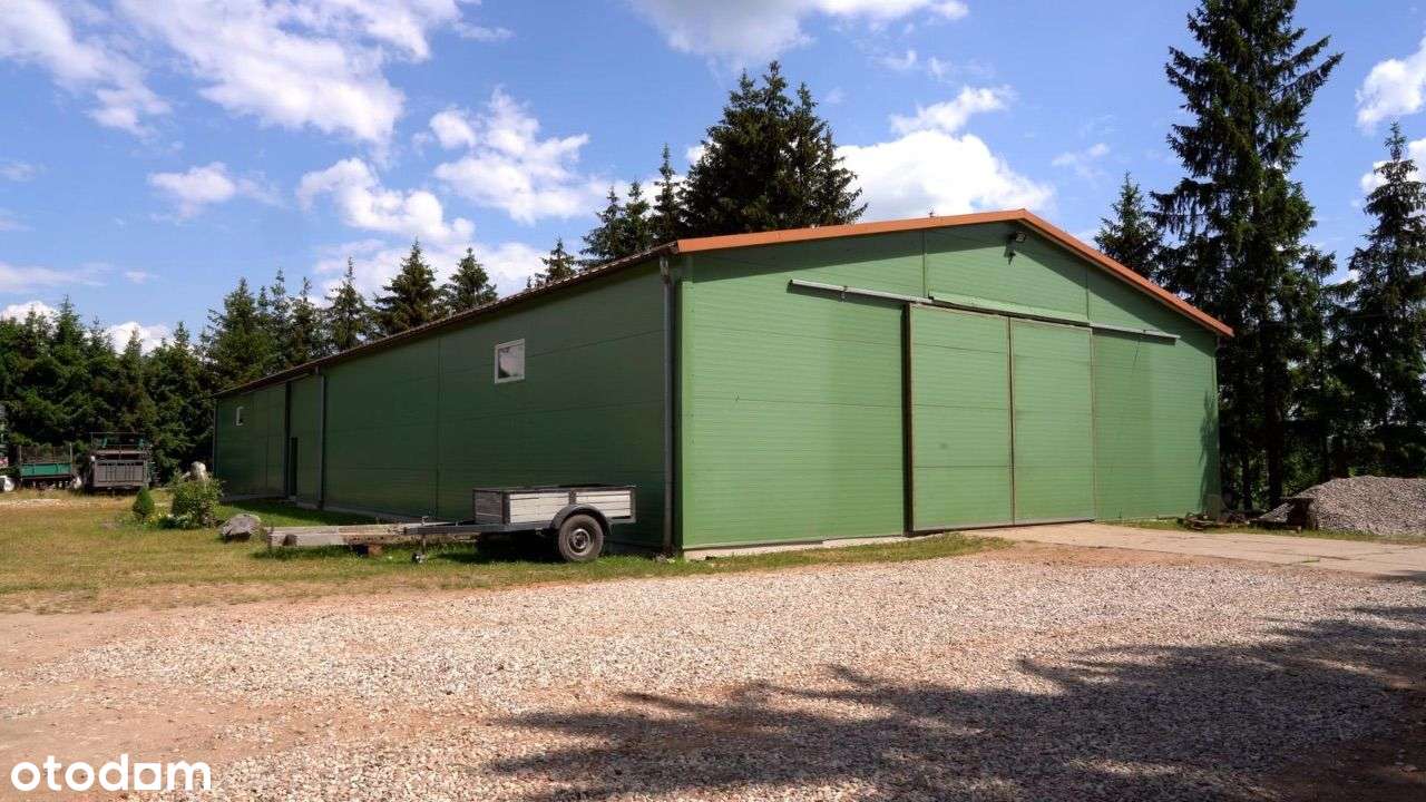 Gospodarstwo rolne 170ha, Stadnina koni, Mazury - Pełny obrazek: 4/20