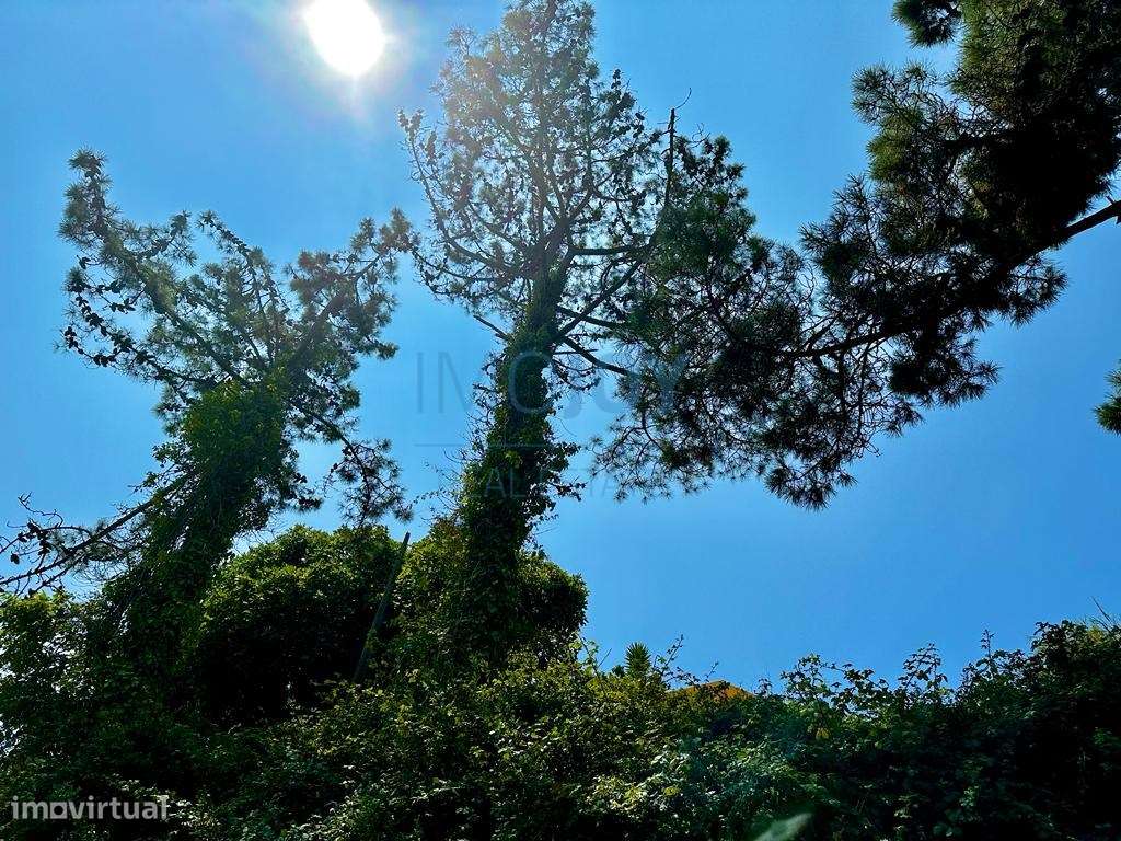 Magnífico Terreno para Construção na Ericeira - Grande imagem: 5/14