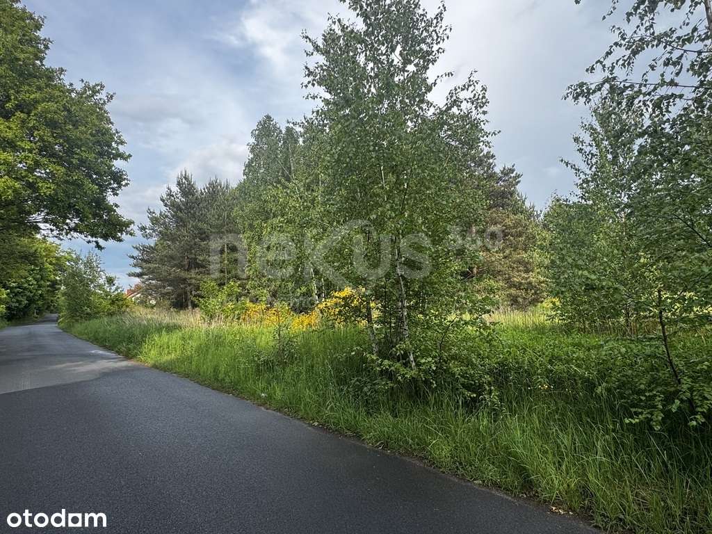 Przestrzeń i spokój - 3 hektary oazy dla Ciebie - Pełny obrazek: 5/13