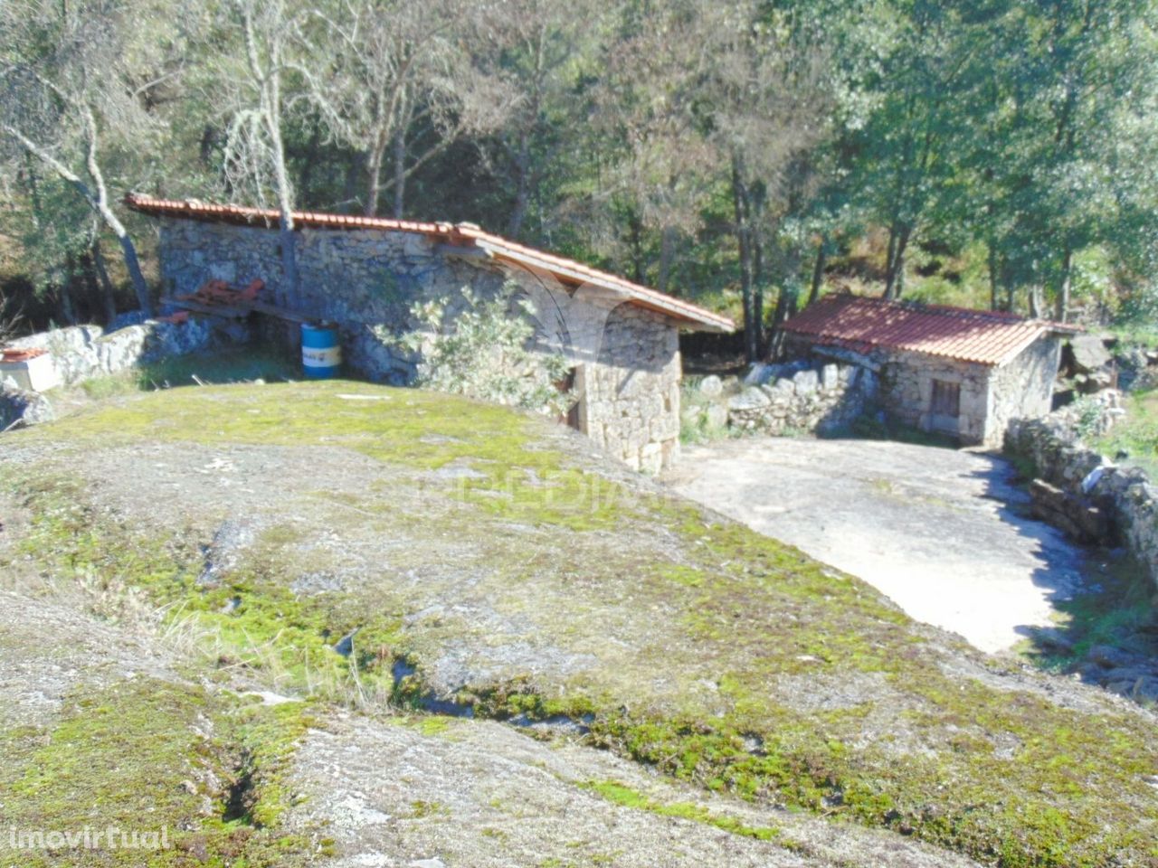 Moinhos c/ terreno de 6 Ha junto ao Santuário de Panoias