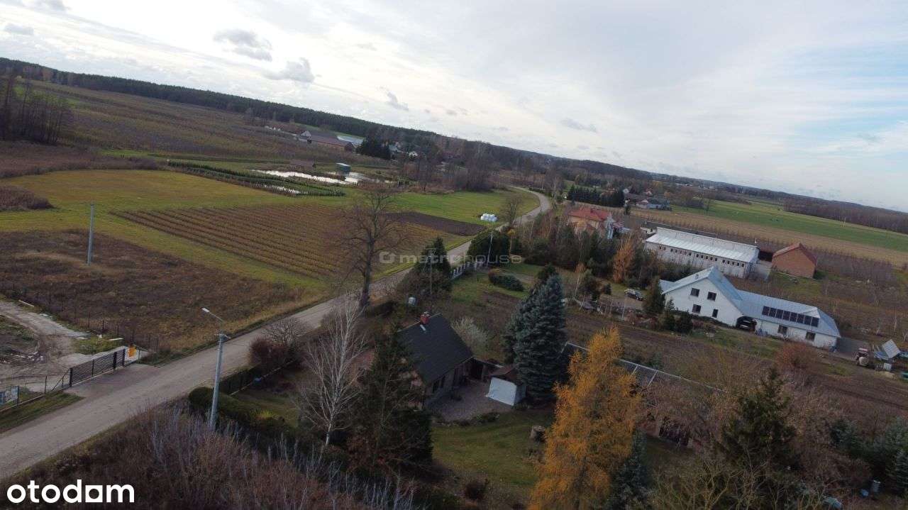 Działka siedliskowa 2,5h z małą rzeką Klusek - Pełny obrazek: 4/5