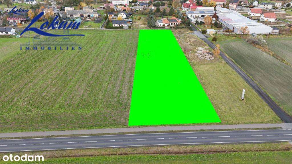 Gołanice - duża działka, wydanyne WZ - Pełny obrazek: 4/5