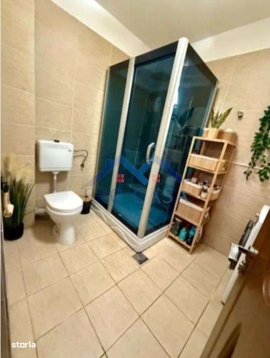 Apartament 2 camere decomandat, Cetate, curte privata , parcare privat-4