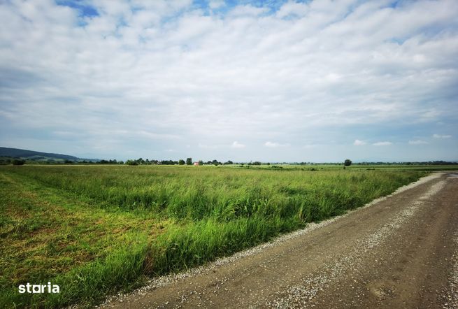 De vânzare teren în localitatea Dobârlău, Covasna-8