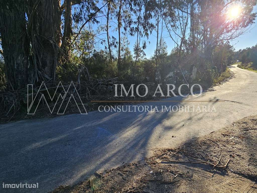 Terreno Rústico com 45.900 m² - Pedraça, Cabeceiras de Basto-10