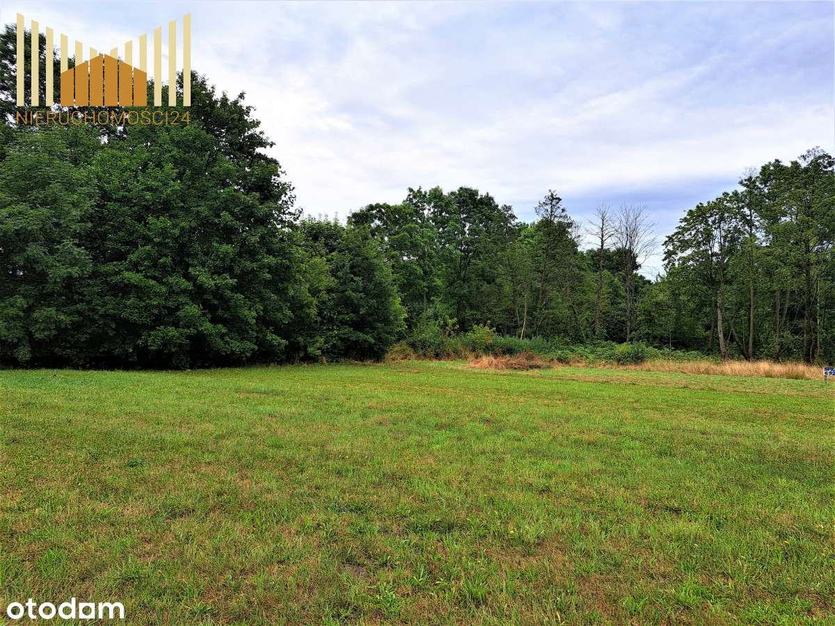 871523 - Pełny obrazek: 4/4