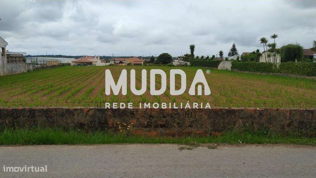 Terreno para construção | Válega - Grande imagem: 2/3