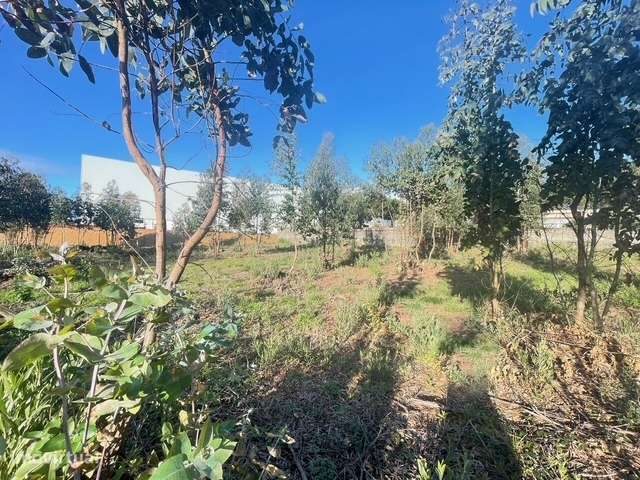 Terreno com 733m2, localizado próximo do Centro de Canelas!-9