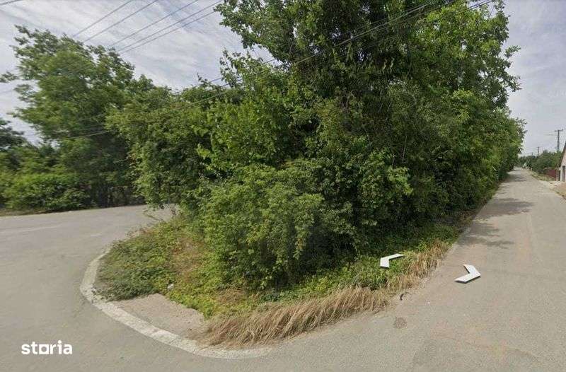 Vand casa batraneasca com. Bilciuresti, Jud. Dambovita - Imagine principală: 5/6