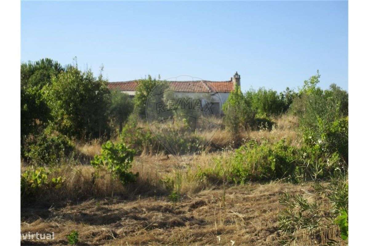 Quinta T0 para venda - Grande imagem: 4/50