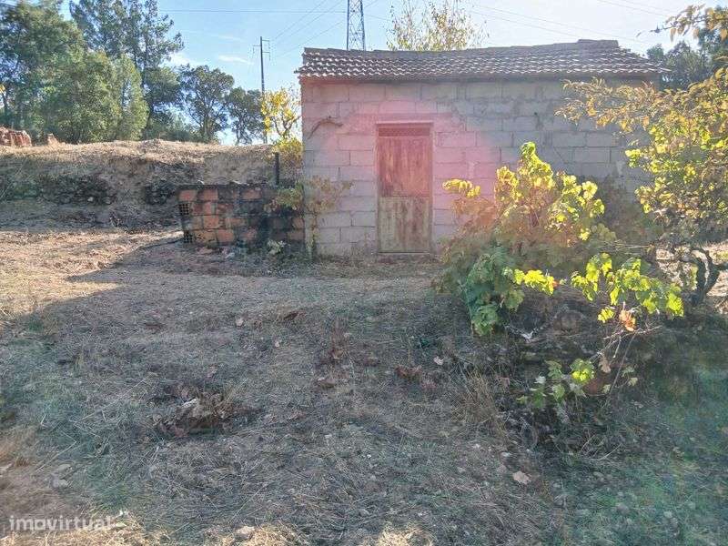 Terreno com arvores - Grande imagem: 5/12