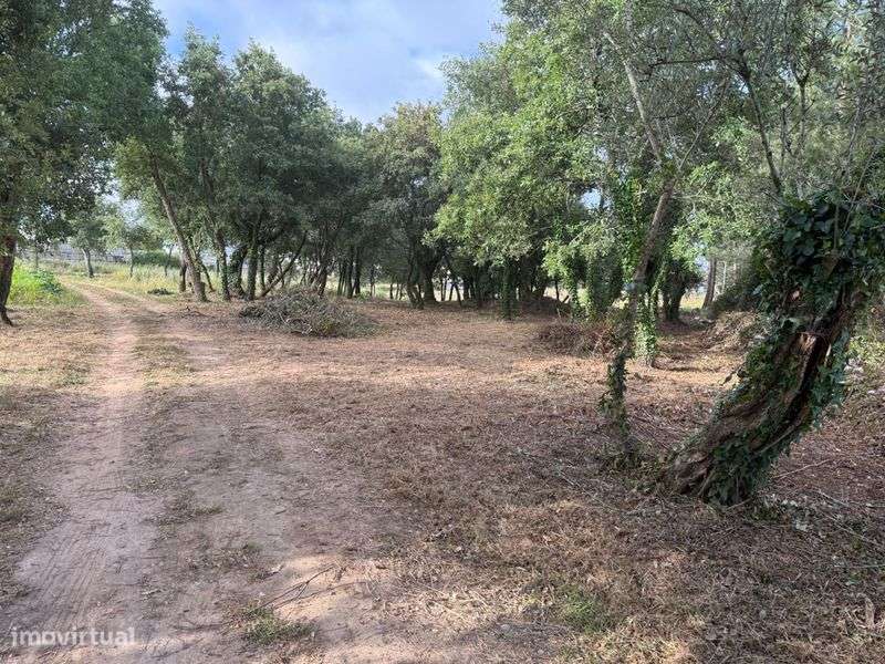 Terreno 3600M2 Natureza - Grande imagem: 3/3