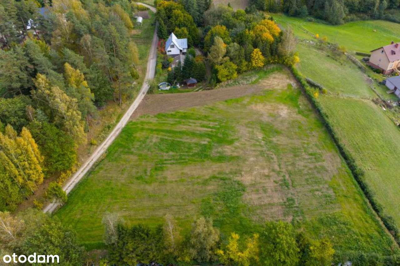 Działka na sprzedaż Łapalice - Pełny obrazek: 4/6