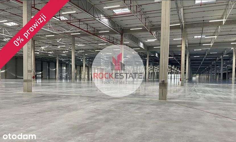 Nowy magazyn od 5tyś m2 na wynajem - 0% prowizji - Pełny obrazek: 4/4