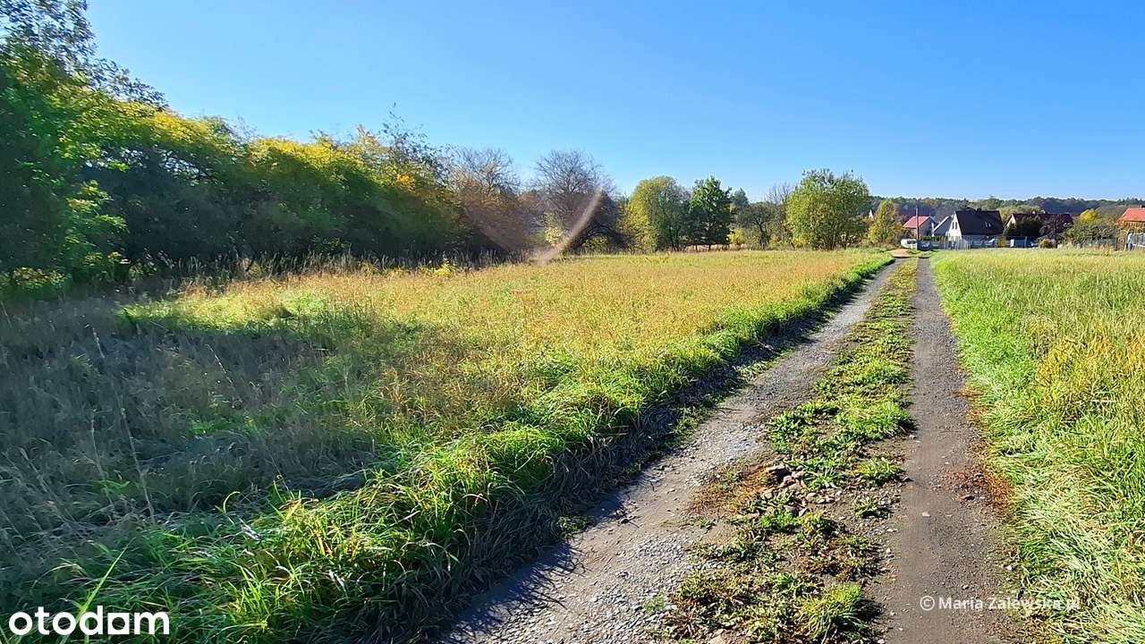 BEZPOŚREDNIO! - Sprzedam działki budowlane - ul. Kościuszki Bojszów - Pełny obrazek: 5/9