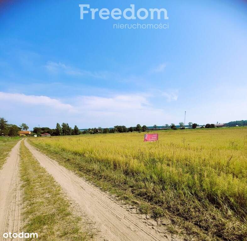 Działka na Mazurach Napiwoda Nidzica - Pełny obrazek: 5/20