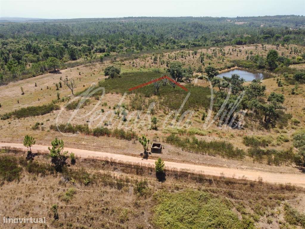 Quinta de 25ha com projeto aprovado - São Teotónio - Odemira-24