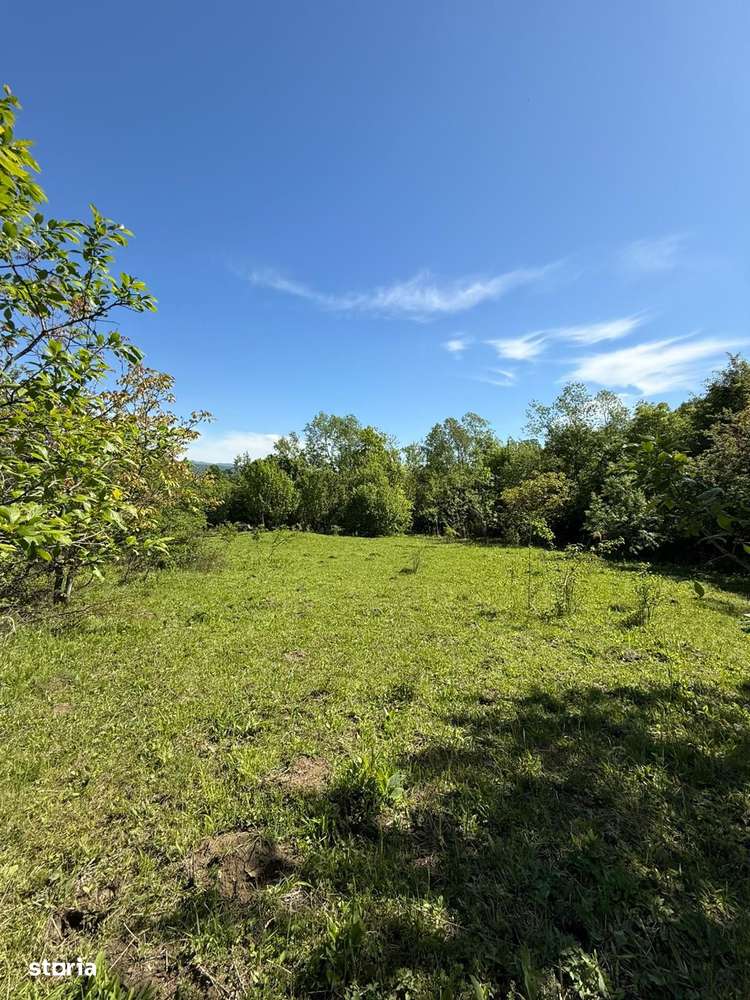 Poiana Câmpina - teren intravilan 3429mp - 50000 Euro - Imagine principală: 2/5