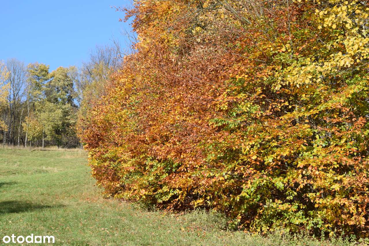 Działka w górach z decyzją o warunkach zabudowy, okolice Karpacza-13