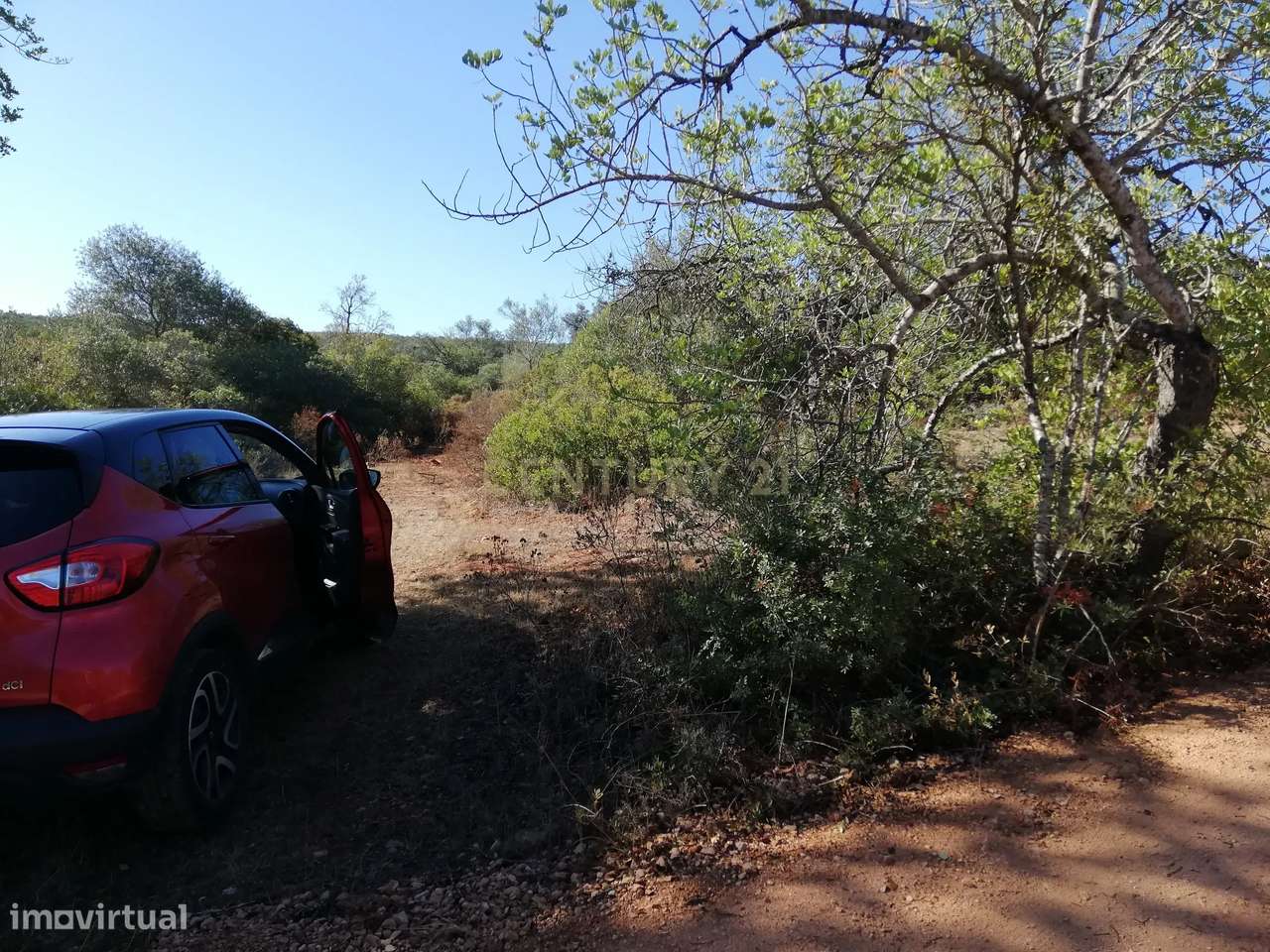 TERRENO RUSTICO - Grande imagem: 4/8