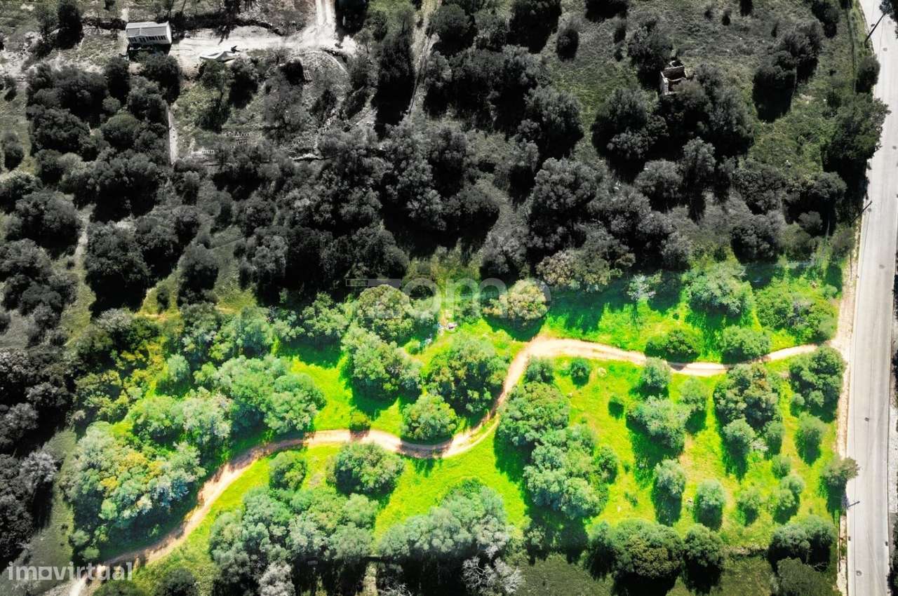 Terreno Rústico Bemposta - Grande imagem: 2/15