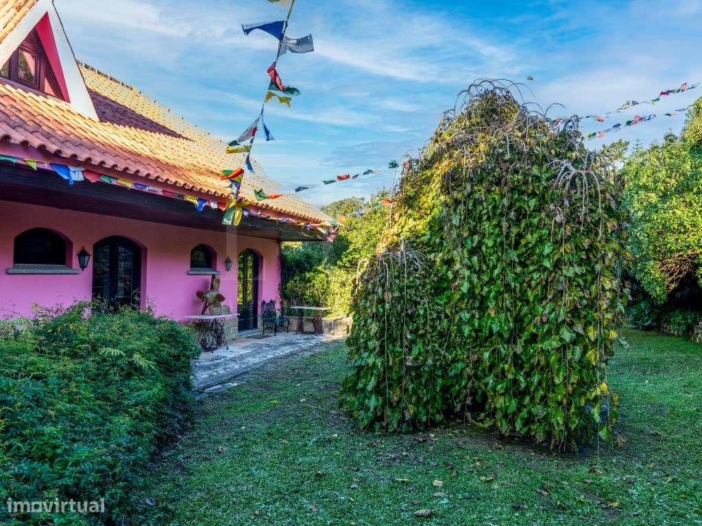 QUINTA COM 22.000 m² E TRÊS MORADIAS EM LOCALIZAÇÃO PRIVILEGIADA DE...-1