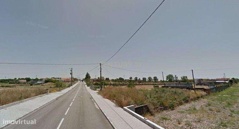 Terreno Biscainho- Excelente oportunidade - Grande imagem: 4/13