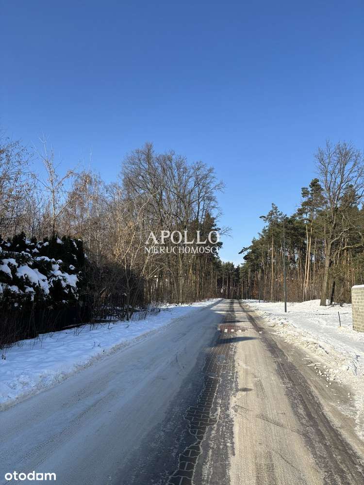 MIĘDZYLESIE - działka pod kameralną inwestycję seg-6