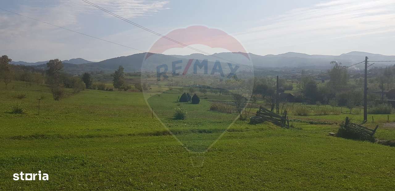 Casă si teren 1.6 ha de vânzare, în Rona de Jos-5
