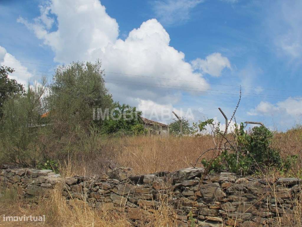 Terreno com casa de arrecadação em Castanheira - Grande imagem: 5/5