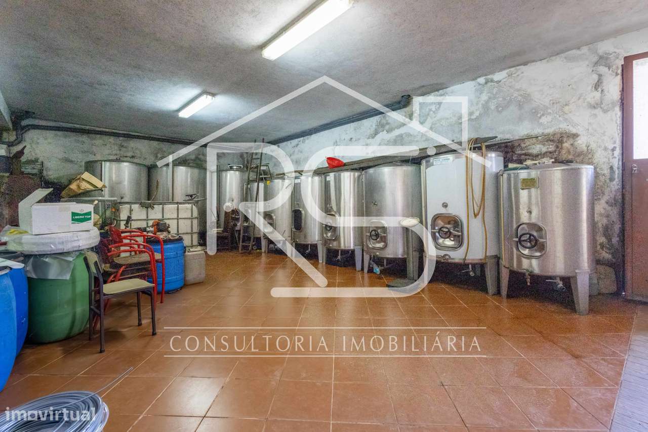 Quinta T6 | Selho São Jorge, Guimarães-50