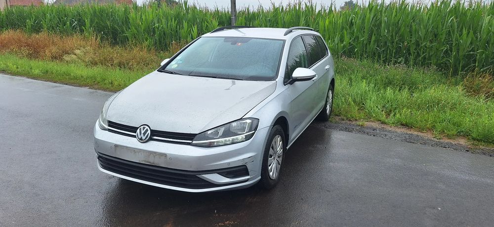 Volkswagen Golf VII (2012-2020) 2019