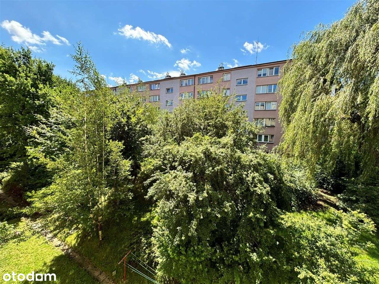 Parter z możliwościami-3