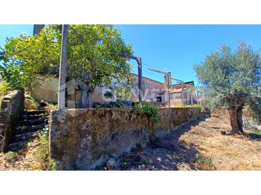 2 Casas de habitação com terreno em aldeia próxima de bons acessos. - Grande imagem: 5/54