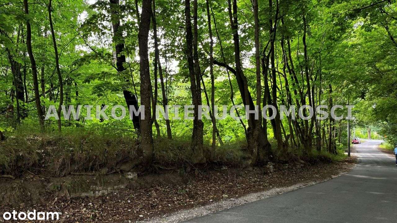 Działka, 17 095 m², Skierniewice - Pełny obrazek: 4/5