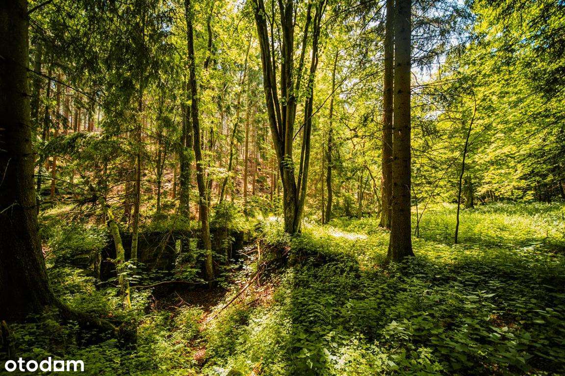 Działka budowlana z linią brzegową górskiego potoku-12