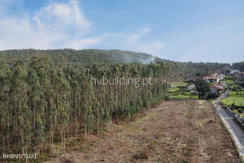 Terreno com potencial de investimento em Igreja Nova, Barcelos - Grande imagem: 3/7