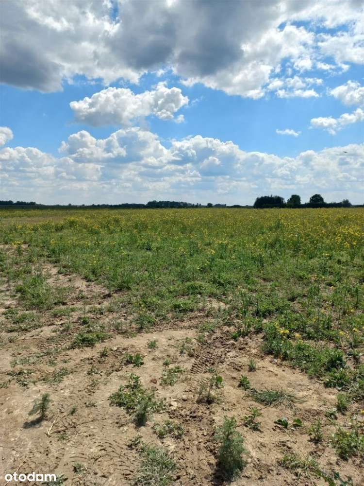 Działka Przecław - Pełny obrazek: 2/6