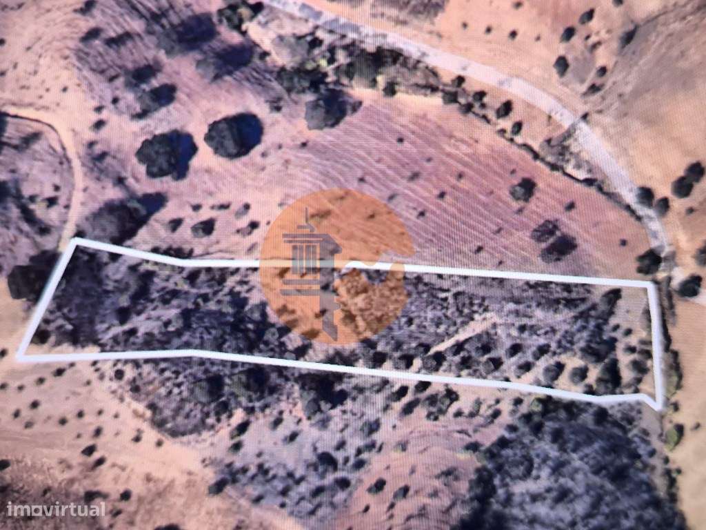 TERRENO COM 8.760 M2 - COM POÇO - EM PISA BARRO - CASTRO MARIM - AL... - Grande imagem: 2/29