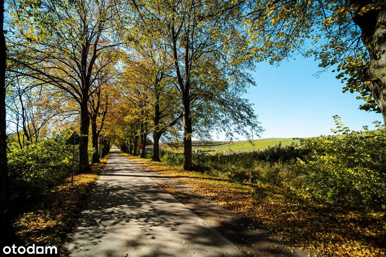 Ostatnie 7 działek nad jeziorem Dzierzgoń!-7