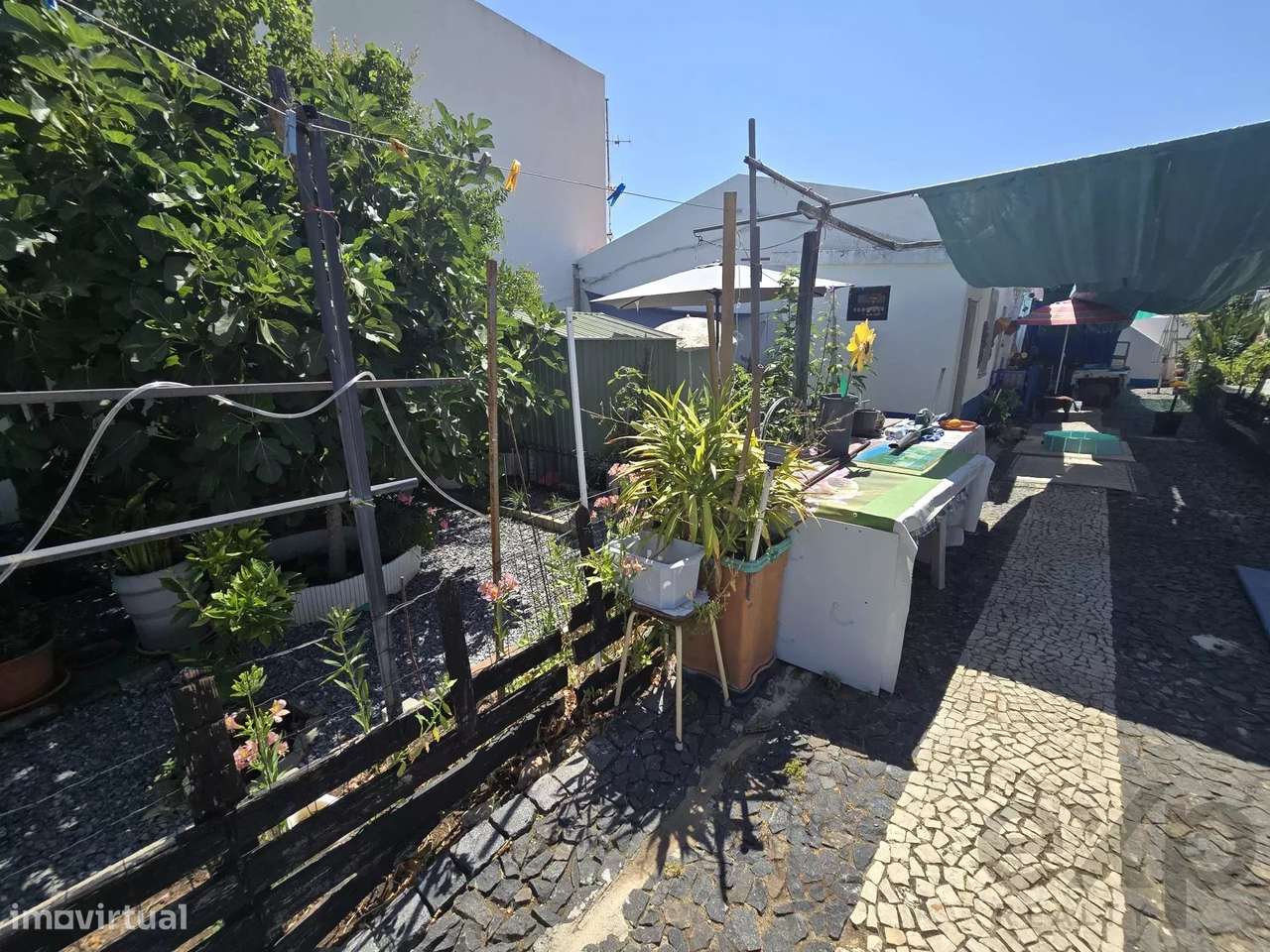 Moradia com Quintal em Zona Tranquila de Beja – Espaço, Luz e Potencia - Grande imagem: 3/22